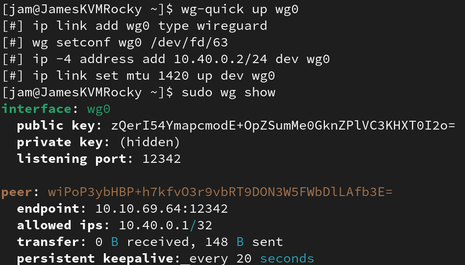 The result of creating our wireguard config file with the peer notation added