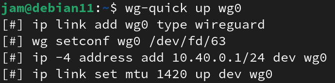 An image depicting an interface being created with the name 'wg0' and appropriate configurations to said interface